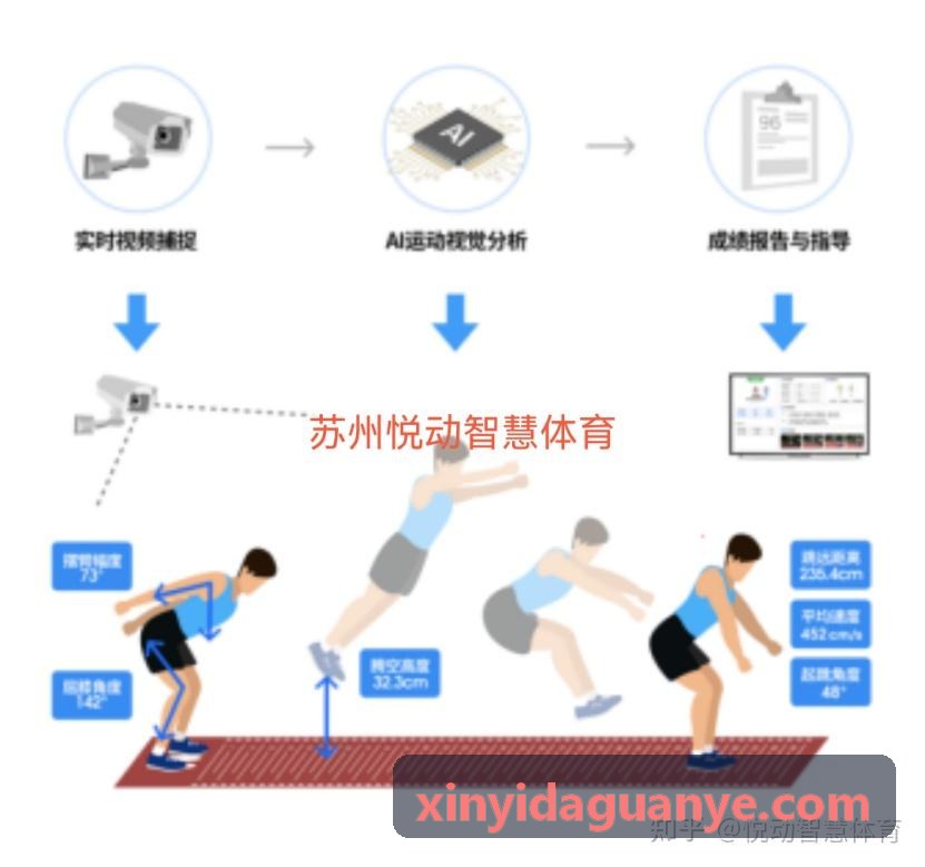 青少年篮球青训营体能测试与成长雷达图管理
